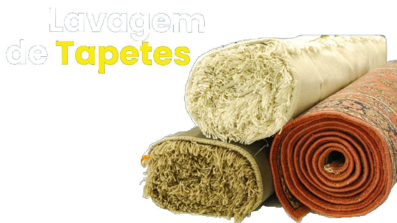 Lavagem tapetes